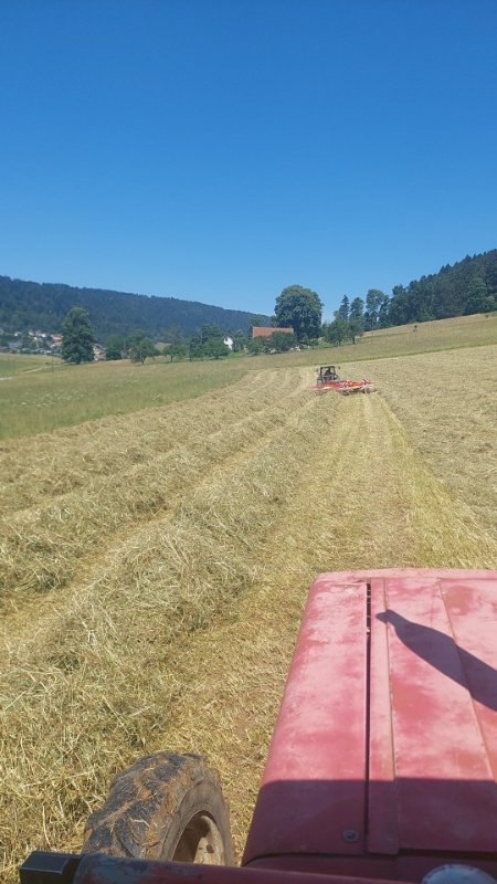 IMG-20240709-WA0015.jpeg
