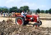 Farmall F-237