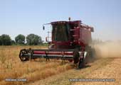 Axial-Flow 2388 dans lentilles