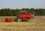 Axial-Flow AFX 8010 dans colza