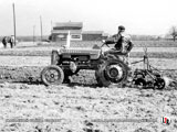 Farmall F-135 D