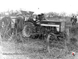 423 vigneron