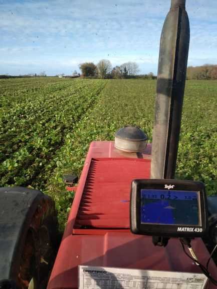 Semis direct 1.f.jpg