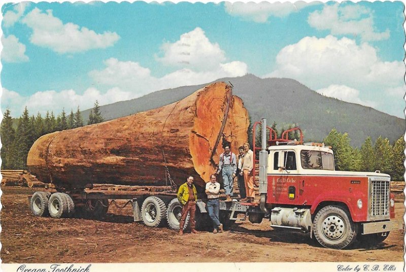 -International 4300.jpg