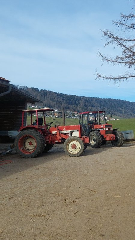 IMG-20250320-WA0026.jpeg
