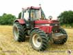 CASE-IH 1255 XL