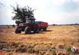 CASE-IH MAGNUM 7230 + benne 15 T