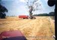 CASE-IH 5150 + benne 15 T
