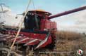CASE-IH 2388