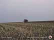 Case-IH 1660