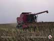Case-IH 1660
