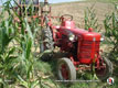 Photo 07