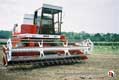 IH 953